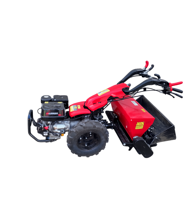 SIEWNIK DO NASION CEDRUS CEDRTJ02